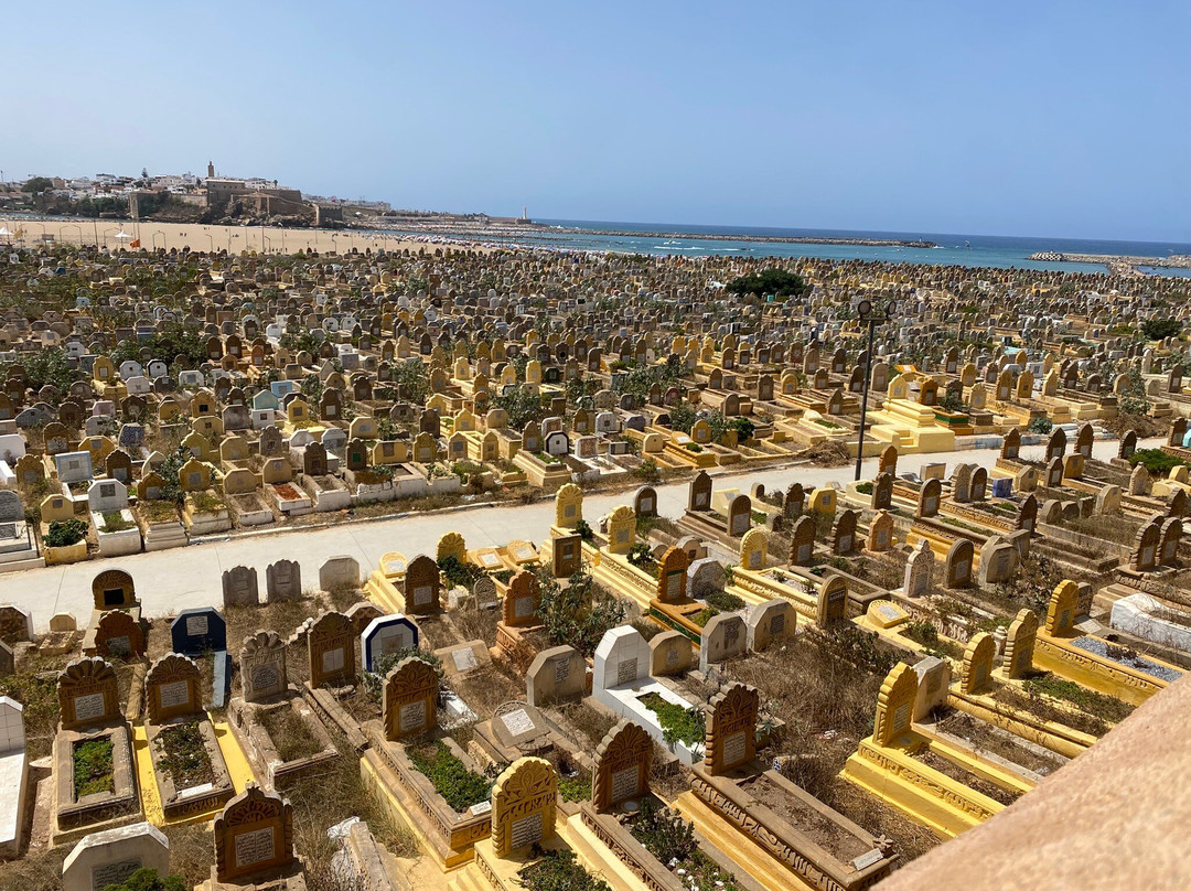 瑞波斯酒店主图