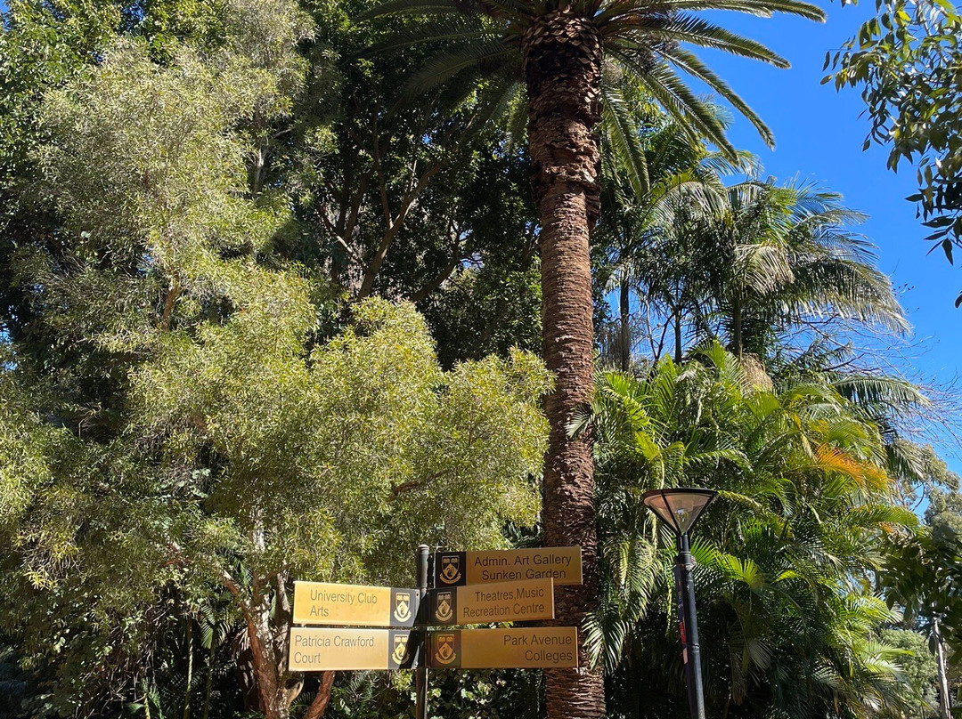 The University of Western Australia-珀斯必去景点