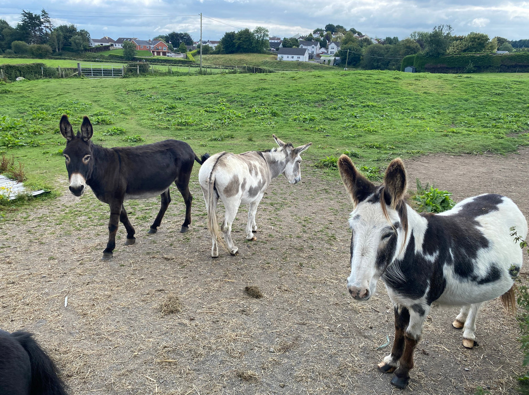Fermanagh Fun Farm-Lisbellaw必去景点