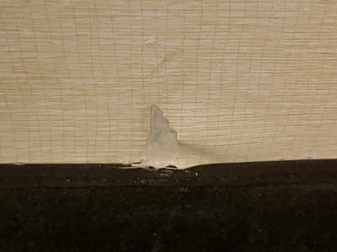 Embassy Suites By Hilton Boston Waltham主图