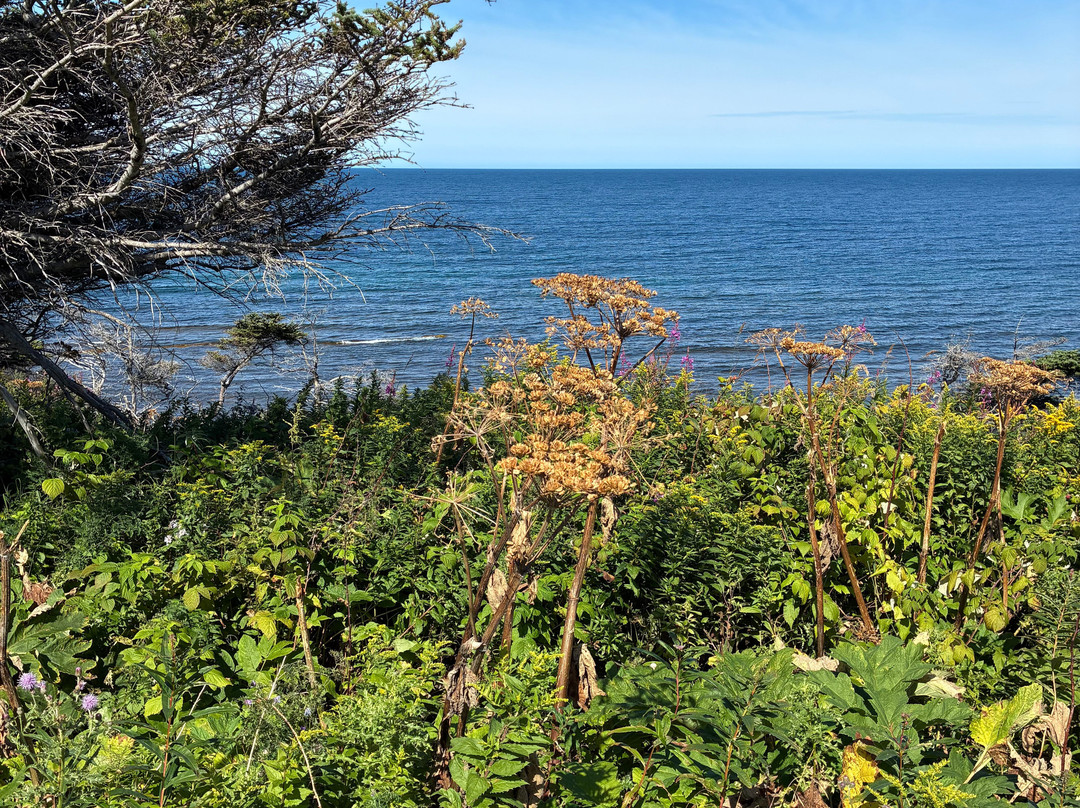 Gros Morne National Park-Rocky Harbour必去景点