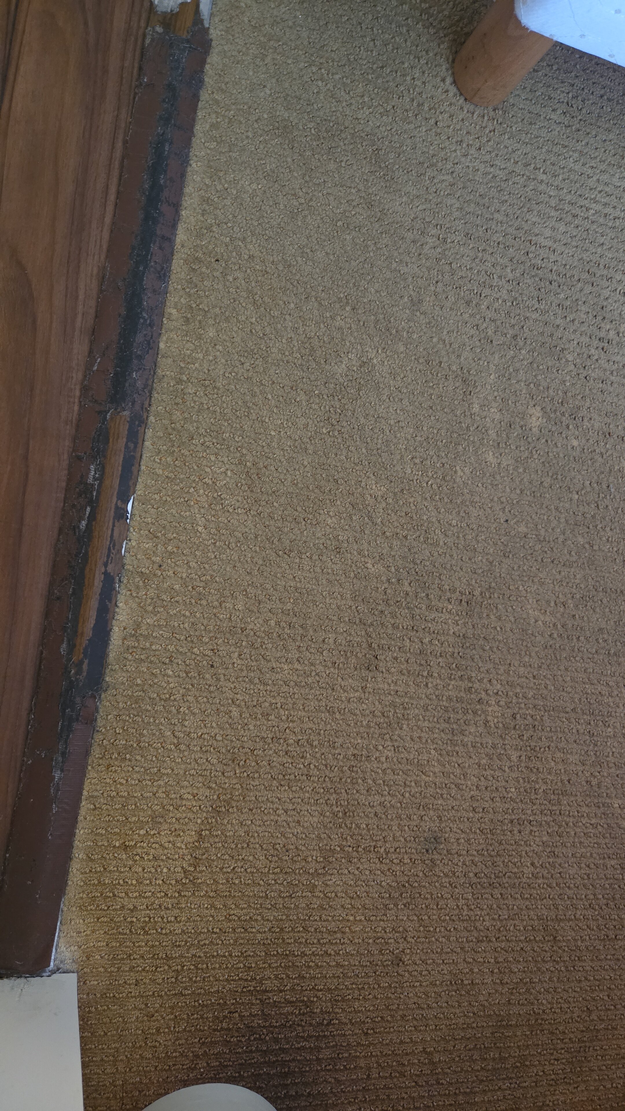 普瓦捷钟楼酒店-客卧