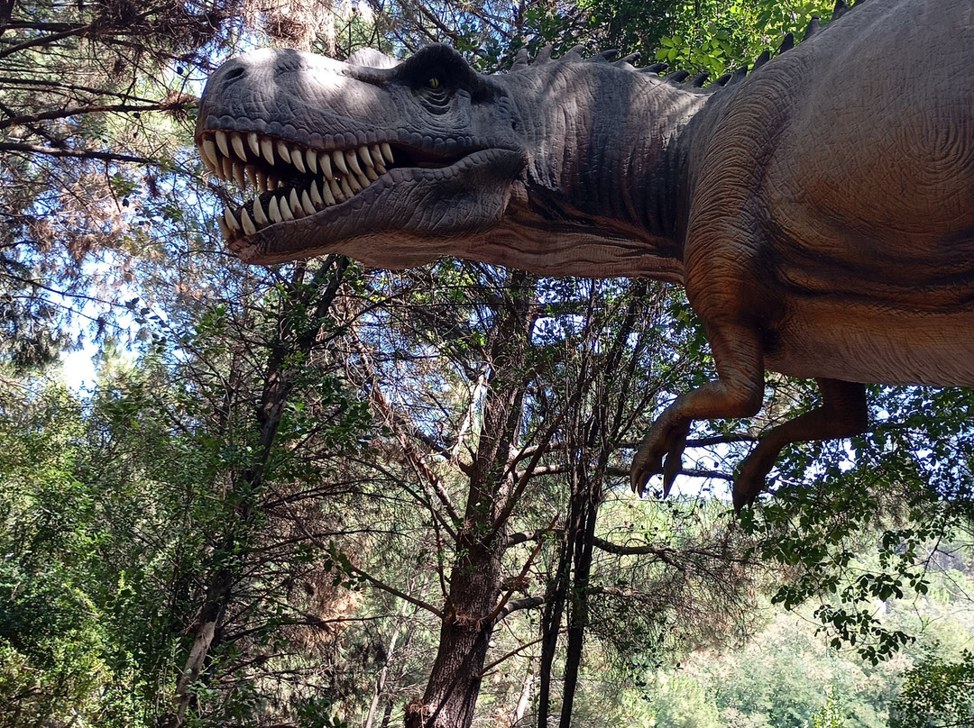 Dinopedia Parc-La Grand-Combe必去景点