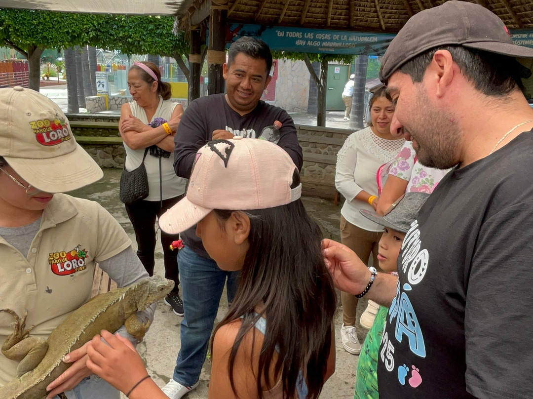 Zoo Parque Loro Puebla-普埃布拉必去景点