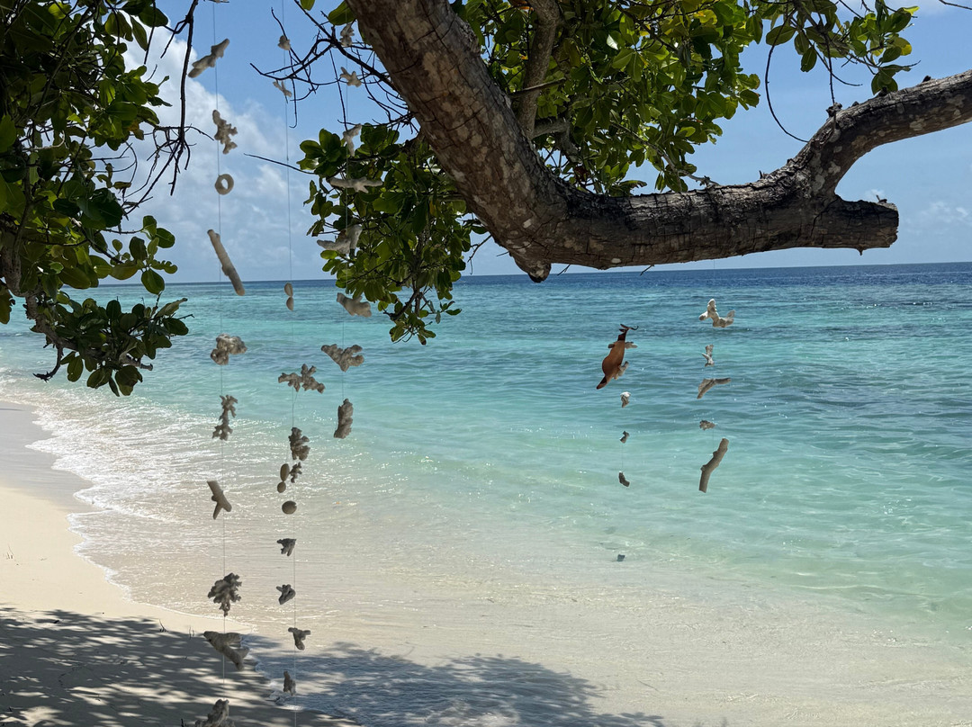 Omadhoo Coral View Inn主图