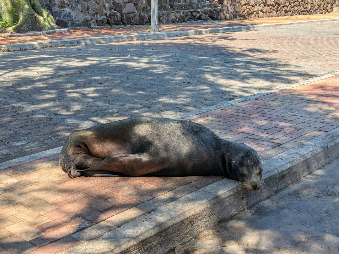 Playa de Oro-Puerto Baquerizo Moreno必去景点