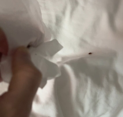 查尔斯湖赌场区温盖特温德姆酒店主图