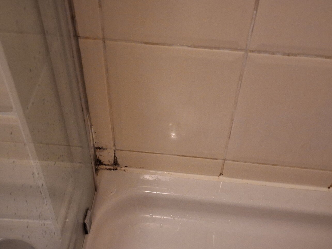 Hotel Stadsherberg de Keurvorst主图