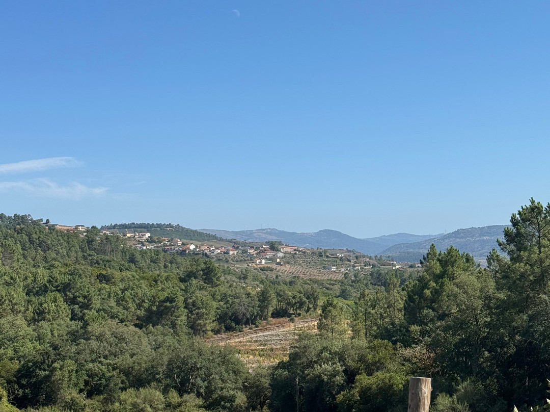 Quinta do Roncão-Vila Real必去景点