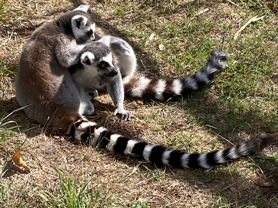 Amazon World Zoo Park-桑当必去景点