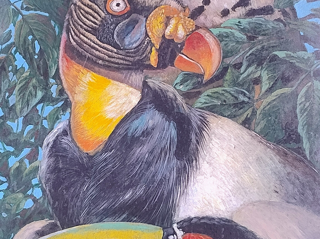 Güiraoga-伊瓜苏港必去景点