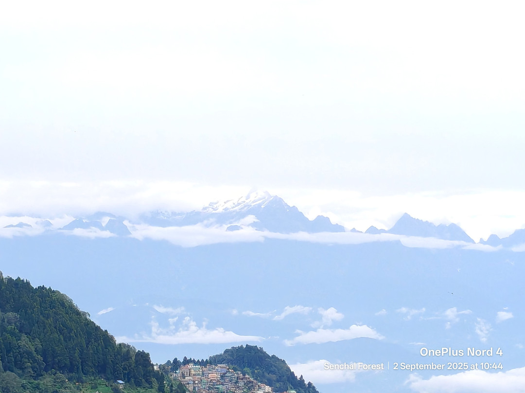 Lamahatta-大吉岭必去景点