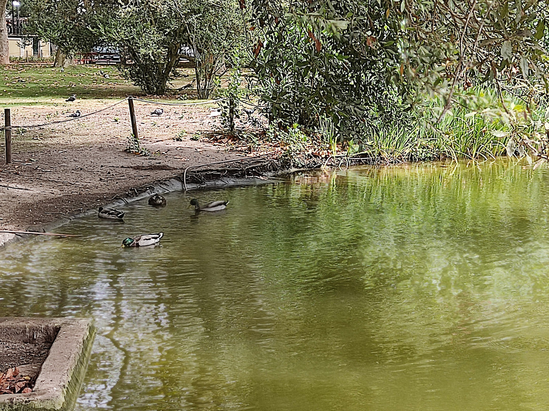 Parque Dom Carlos I-Caldas da Rainha必去景点