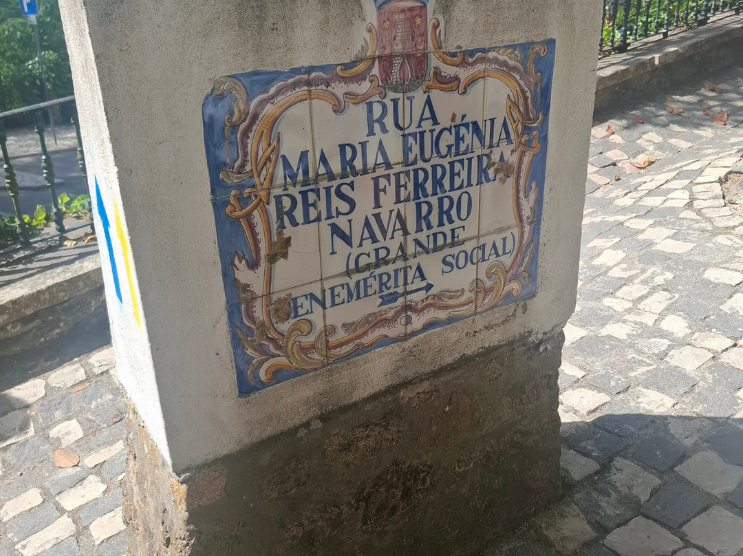 Tours Bernardo-辛特拉必去景点