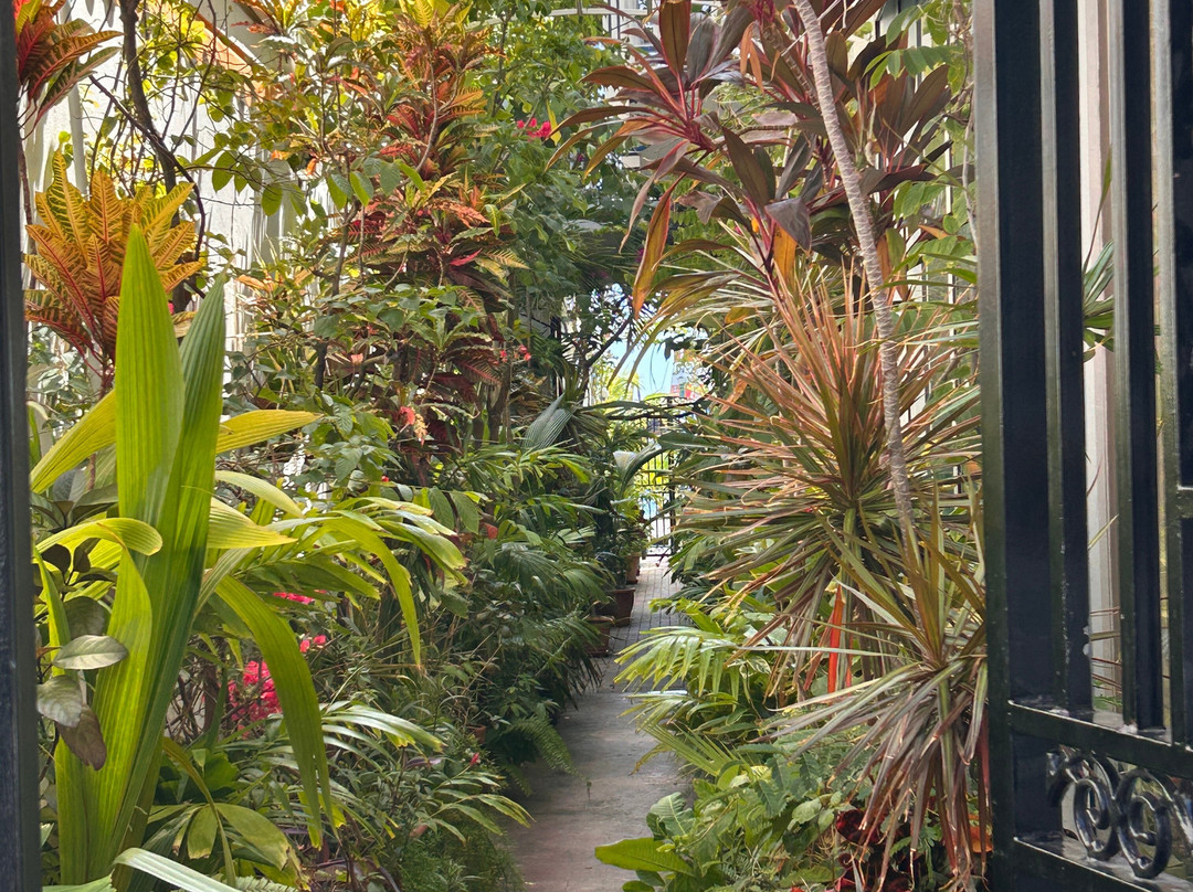 Phillipsburg Sint Maarten-菲利普斯堡必去景点