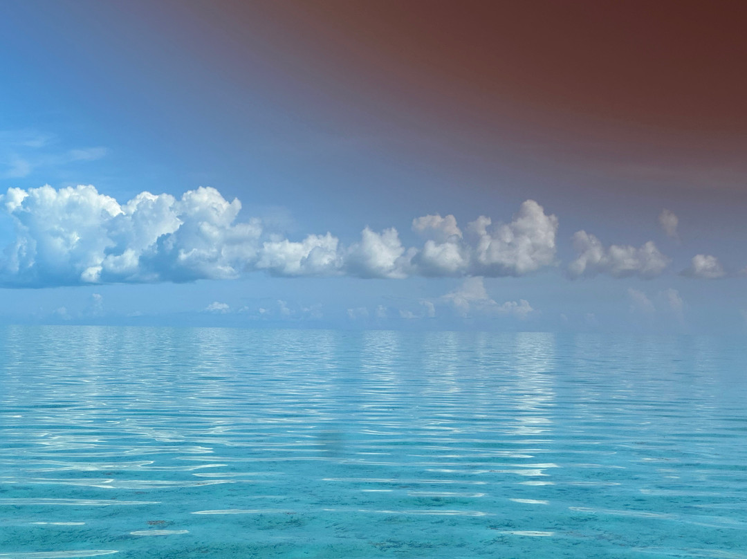 Long Island Boat Rentals-长岛必去景点