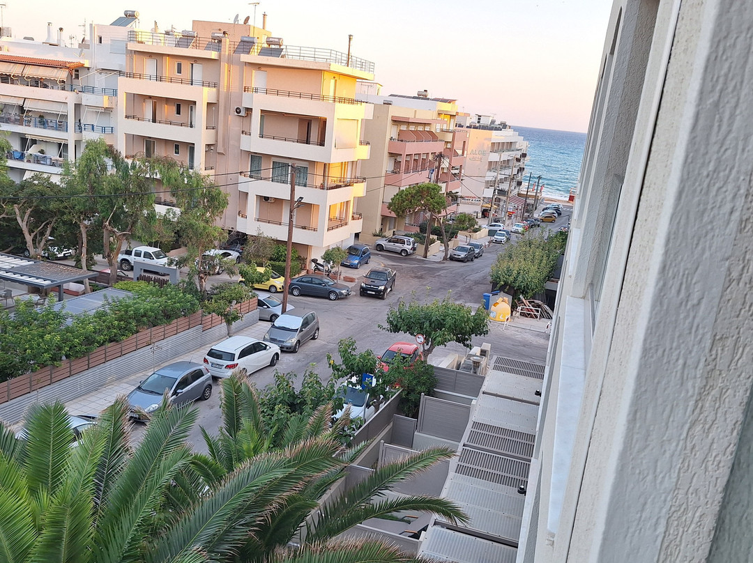 Theartemis Palace Hotel主图