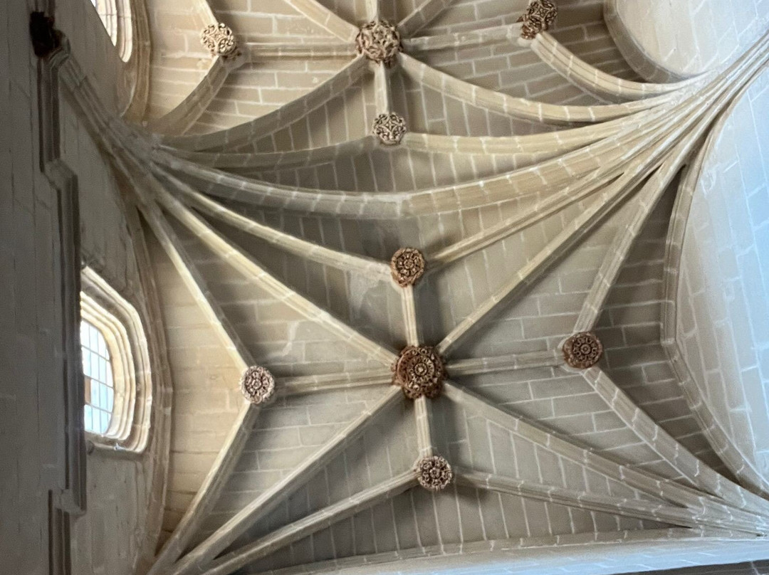 Cartuja de Jerez-赫雷斯德拉弗隆特拉必去景点