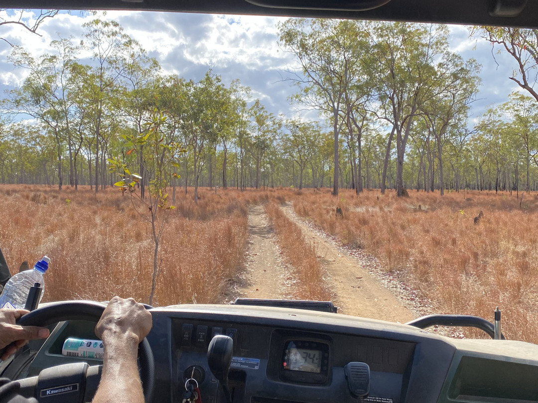 Jarramali Rock Art Tours-凯恩斯必去景点