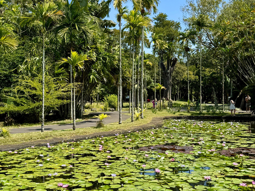 Antonio Taxi Mauritius-Palmar必去景点