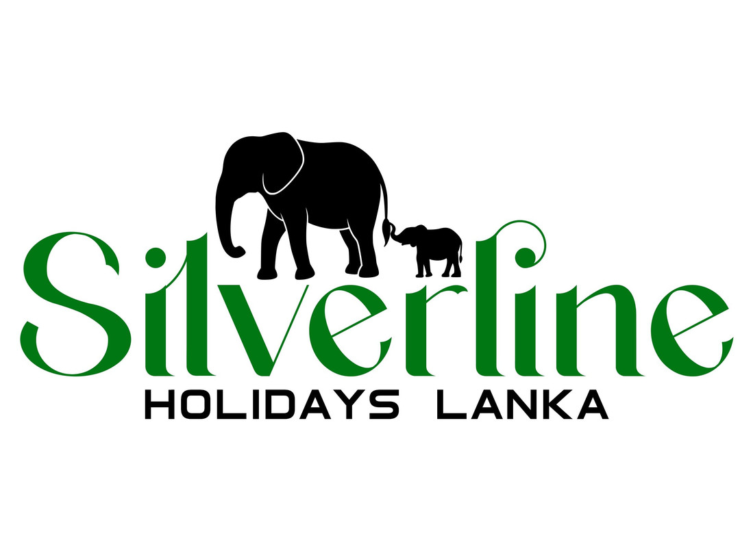 Silverline Holidays