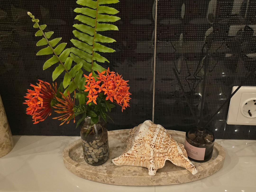 Bali Villa Dive Resort主图