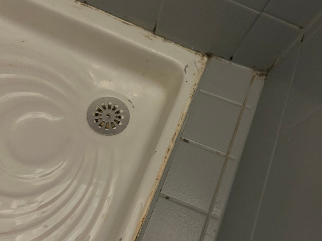 Hotel du Chateau主图