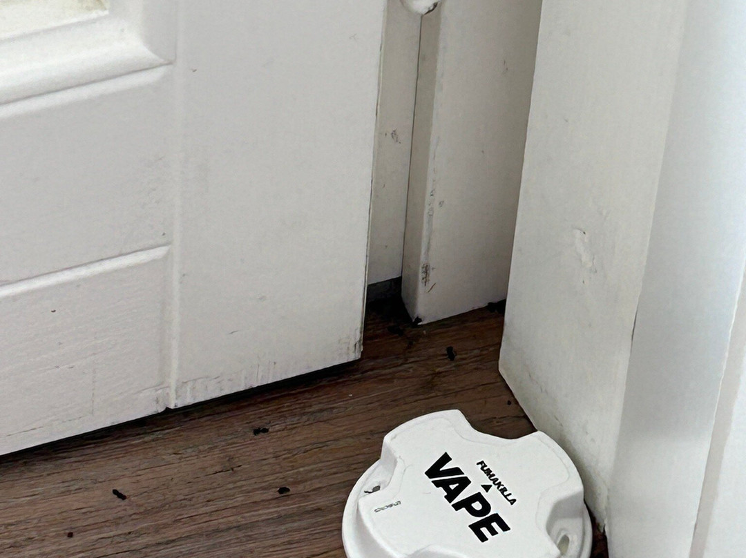 Lido di Faggeto Miamilaryo-Faggeto Lario必去景点