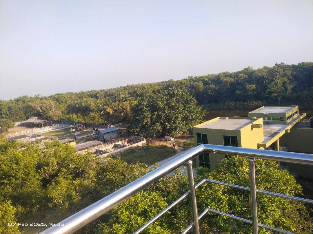 The Sundarbans-库尔纳县必去景点