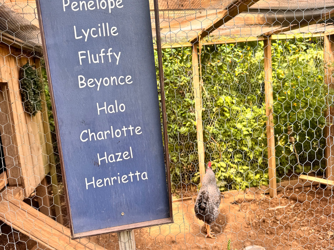 Blue Iris Farm-Lebanon必去景点