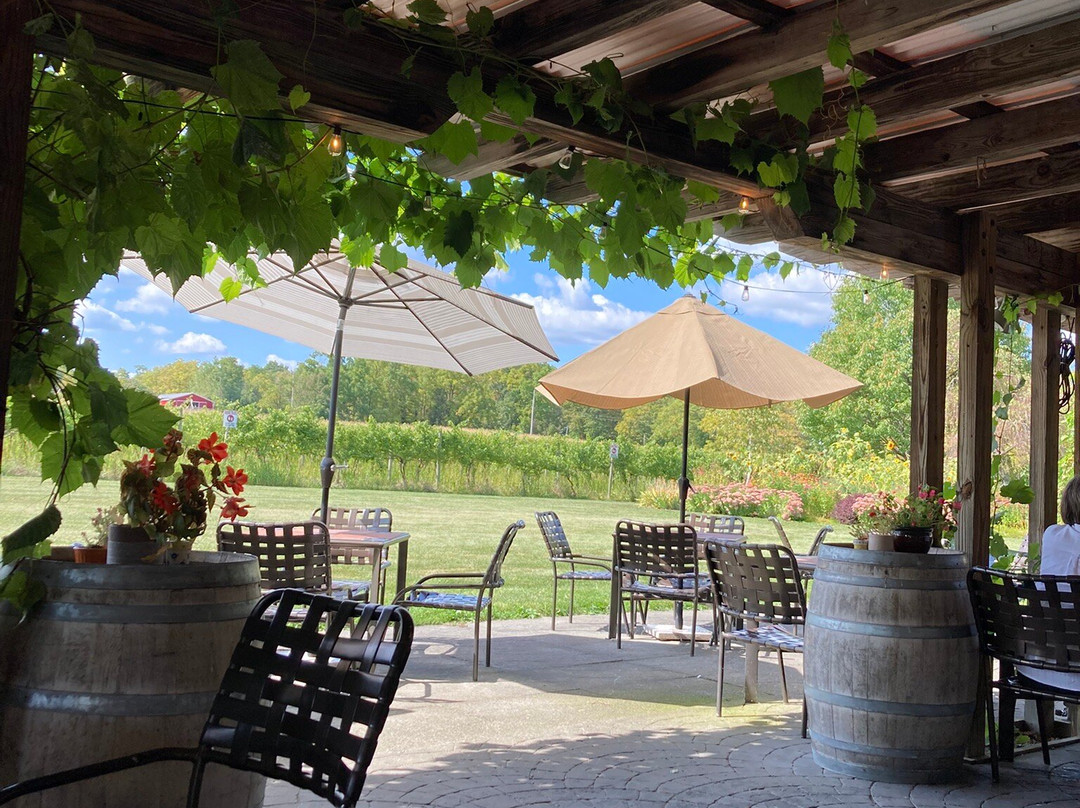 Knapp Winery-Romulus必去景点