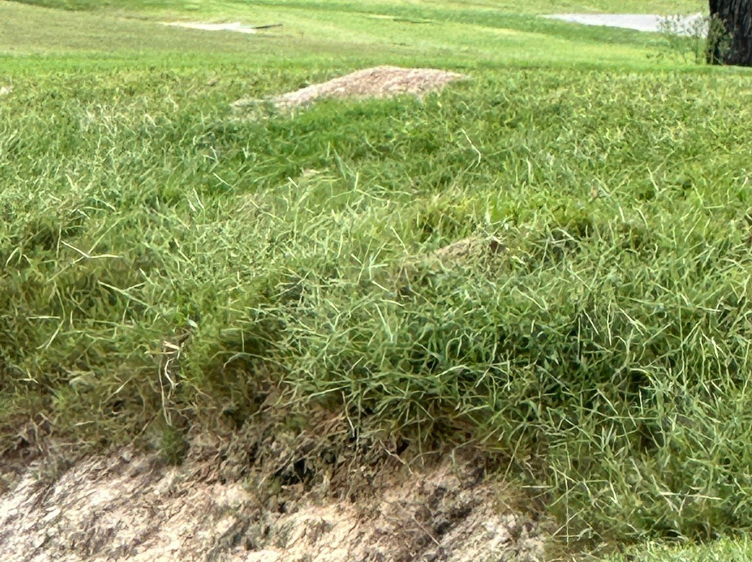 Chatuge Shores Golf Course-Hayesville必去景点