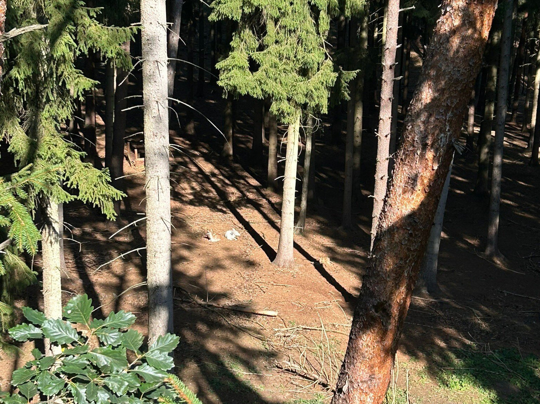 Heide Himmel-Hanstedt必去景点