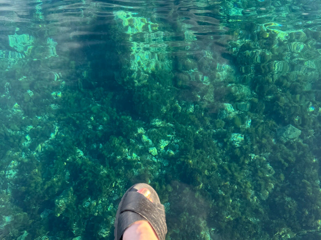 Orca Diving Ustica-Ustica必去景点