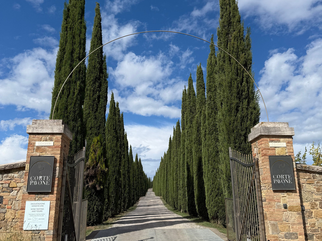 Loacker Weingut-博尔扎诺必去景点
