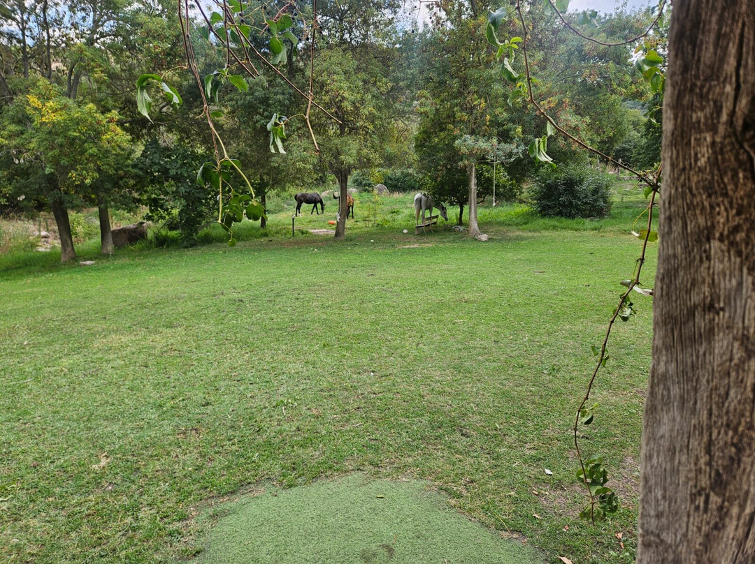 Sas Abbilas Agriturismo主图