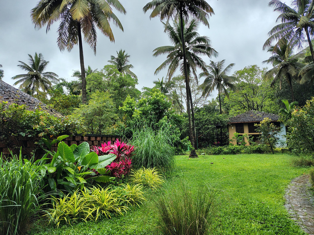 The Orchard Resort主图