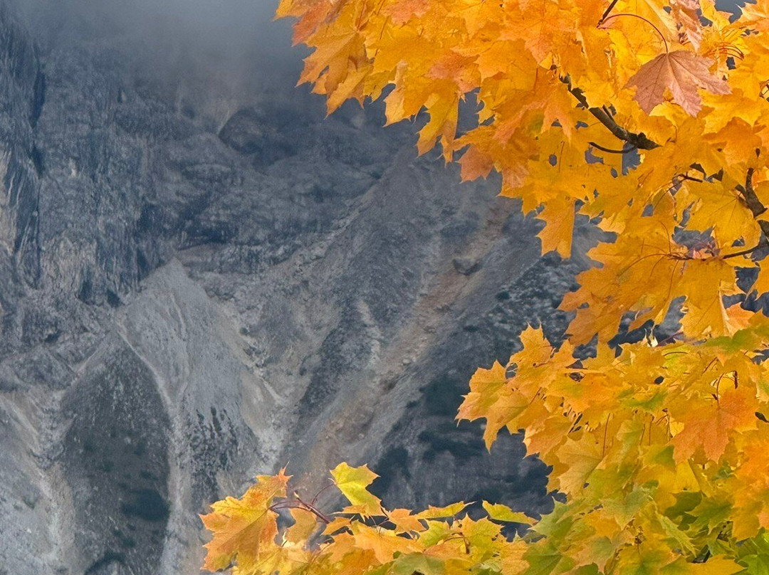 Artnatur Dolomites Hotel & Spa主图