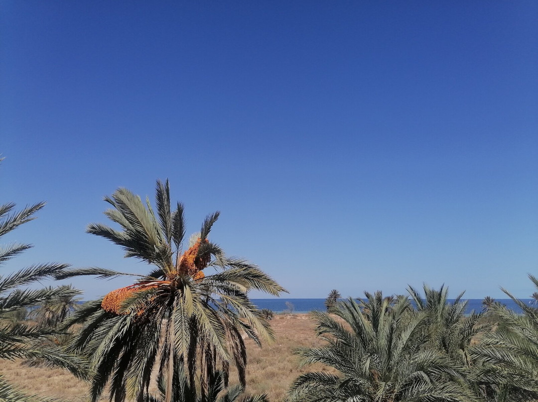 Hotel Ennakhla主图