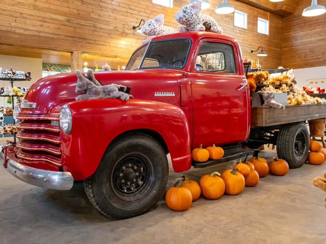 Kraay Family Farm-拉孔布必去景点