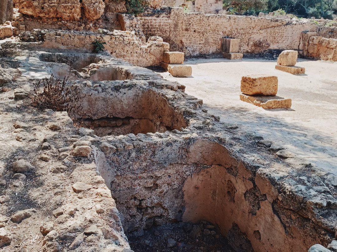 Ruines Romaines Tipaza-蒂帕萨必去景点