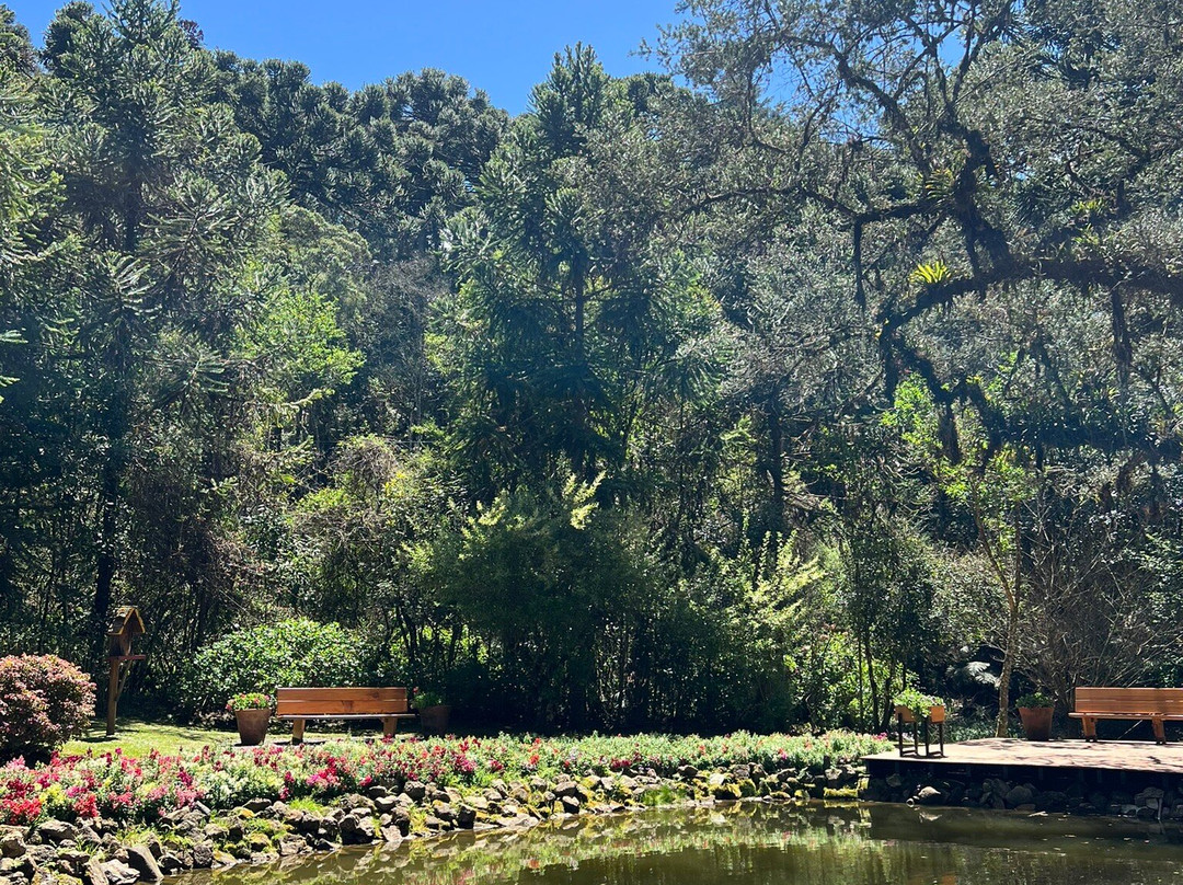 Bosque do Silêncio-坎普斯－杜若尔当必去景点