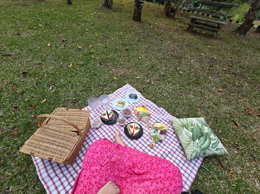 Canto Do Irerê Boutique Hotel主图