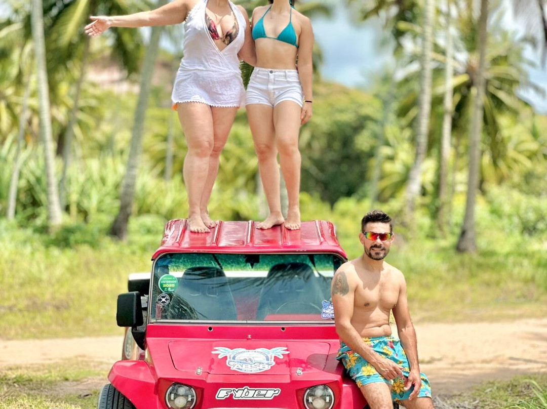 Maragogi Tour-Maragogi必去景点