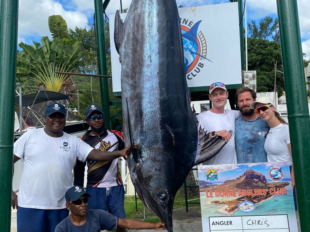 Golden Wave Charters - Big Game Fishing - IGFA - Captain Victor Pelletier-弗力克昂弗雷克必去景点
