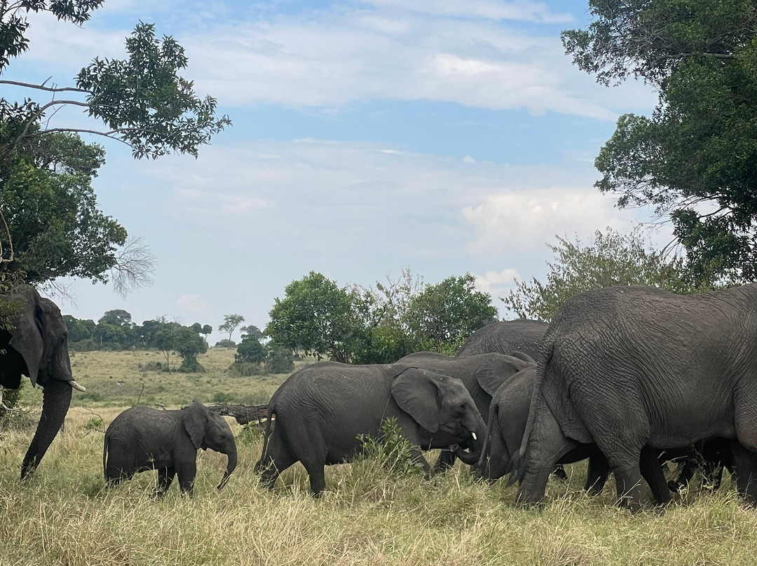 Meijo Safaris-阿鲁沙区必去景点