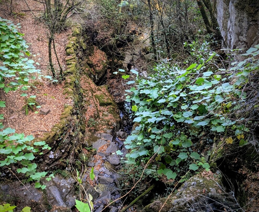 Aldeia do Talasnal-Lousa必去景点