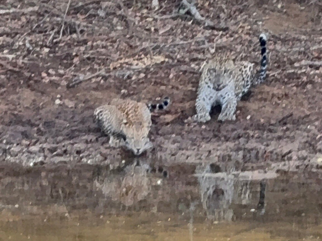 Travel  to Sri Lanka-Mirigama必去景点
