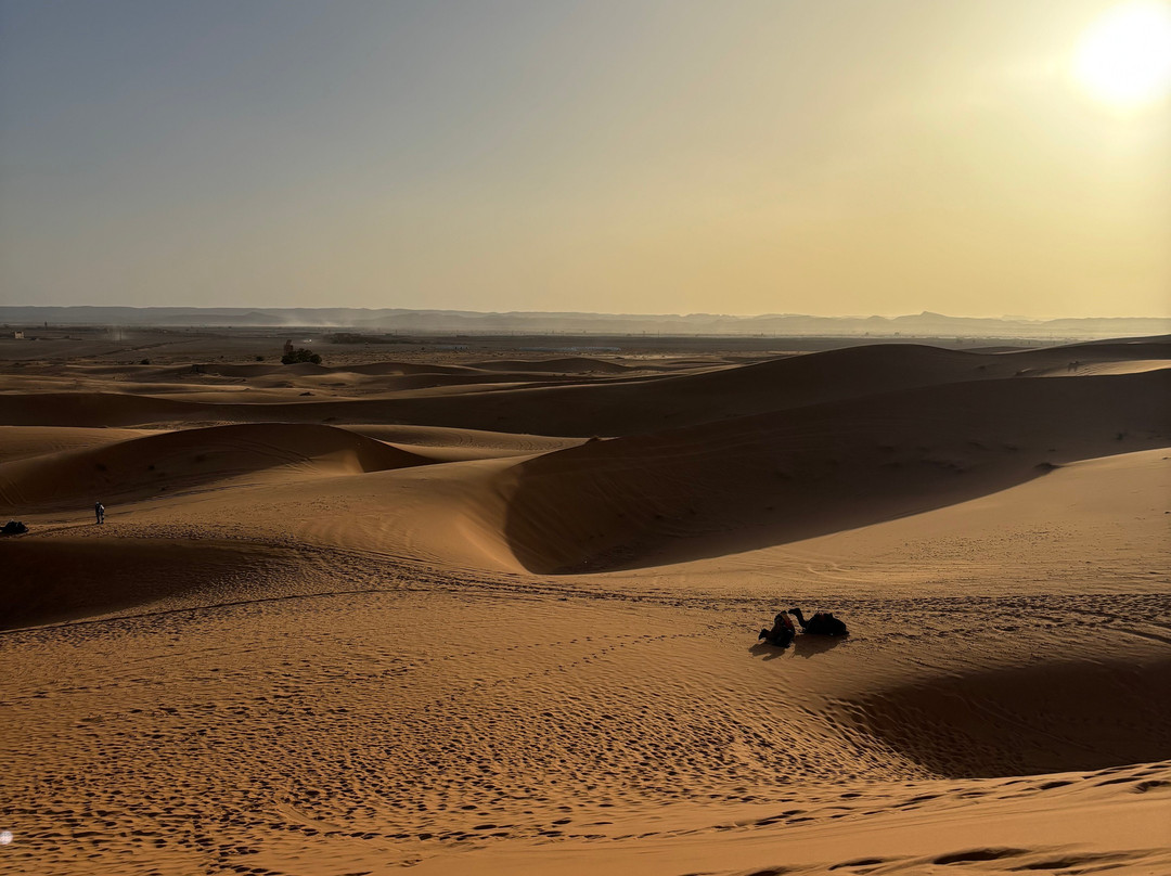Morocco Cheap Travel-非斯必去景点