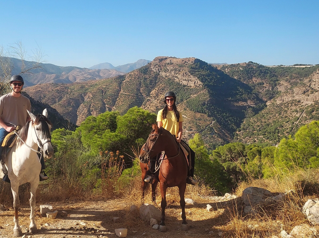 Horse Riding El Chorro-El Chorro必去景点